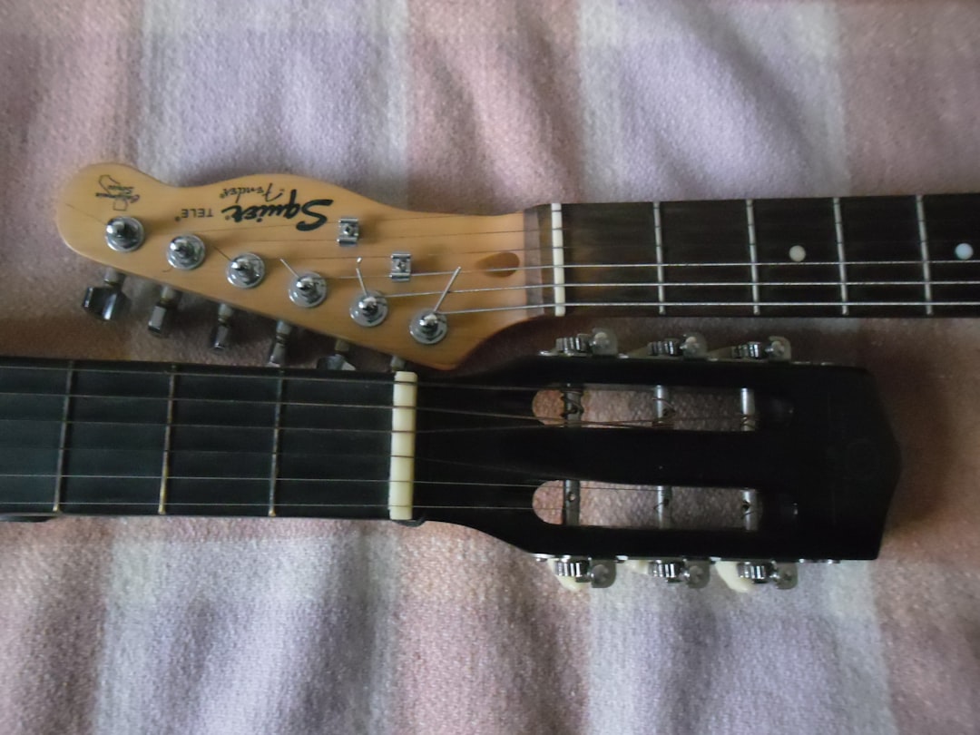 Photo Guitar, Fretboard